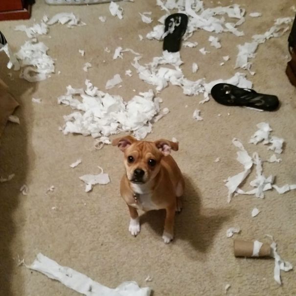 You're Home Early...