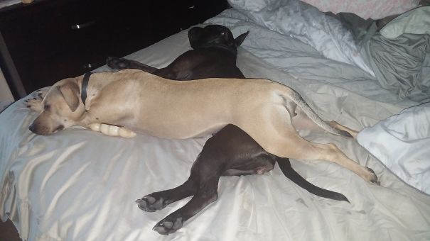 Sprite Crosses Jette....