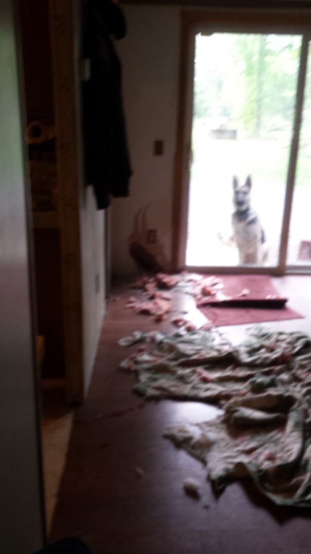 I Think I'm In Serious Trouble. ..