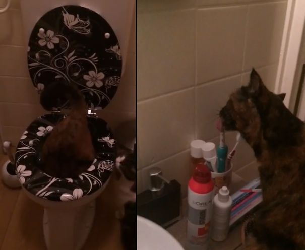 As If Bathing In The Toilet Wasn't Bad Enough