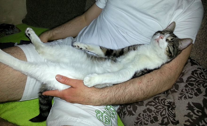 Moppi Was Born As A Stray Kitten In Greece. He Has No Eyes, But A Really Big Heart. ♡