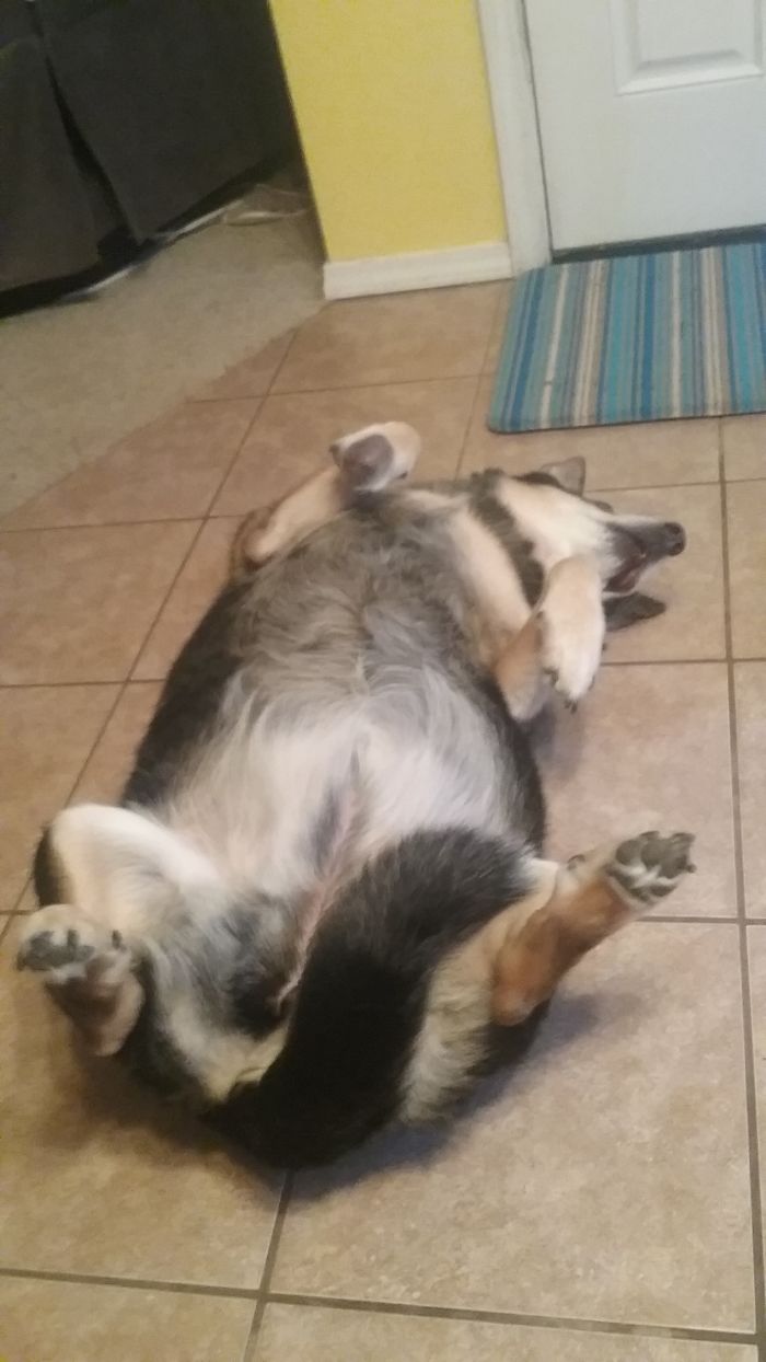 I Can't Go Any Further