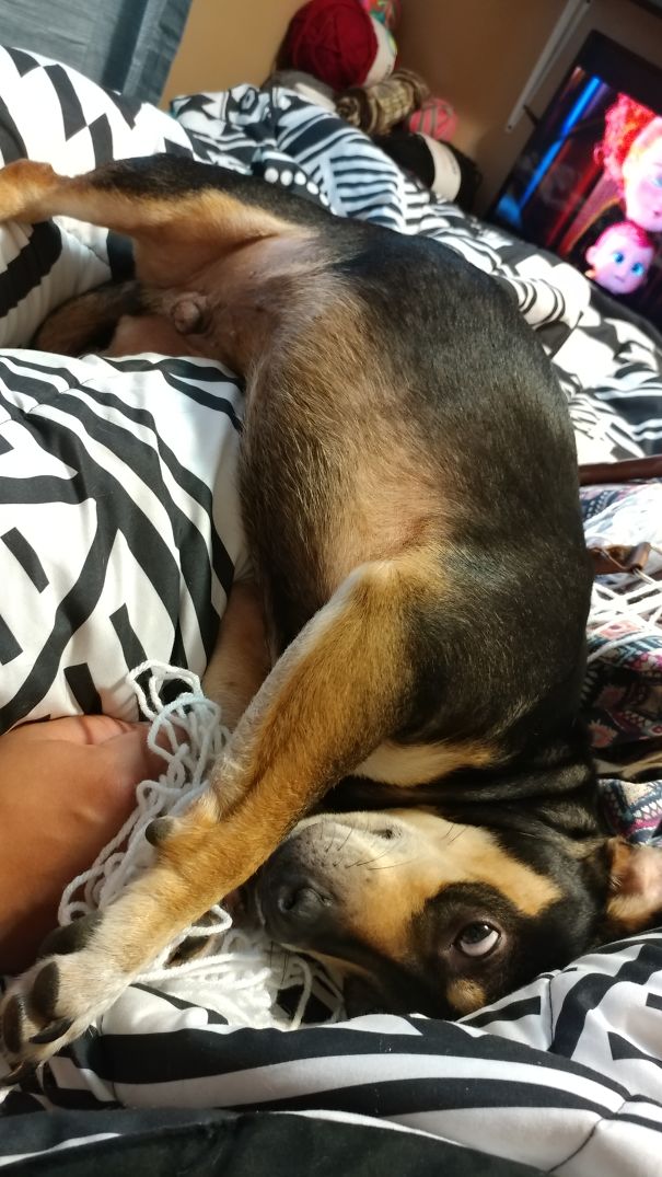 What? You're Trying To Use This?