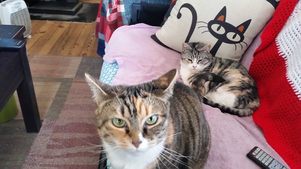 Bet You Can't Guess What Happend Next