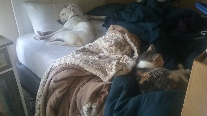 So Much For Making The Bed.