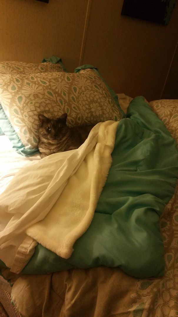 You Can Use My Bed... I'll Take Yours.