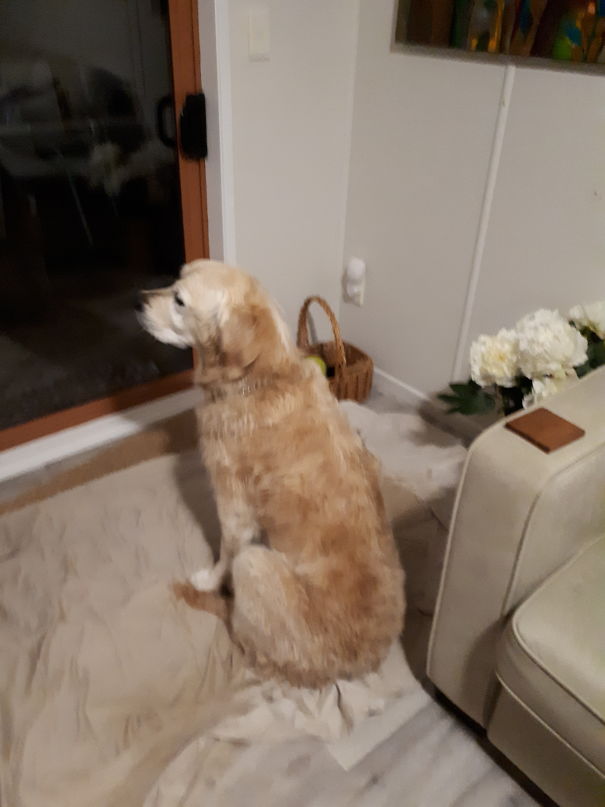 No... I Didn't Fart. Now Open The Door