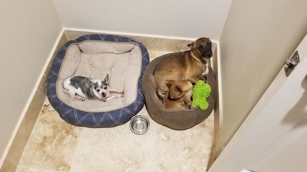 But I Need The Room...