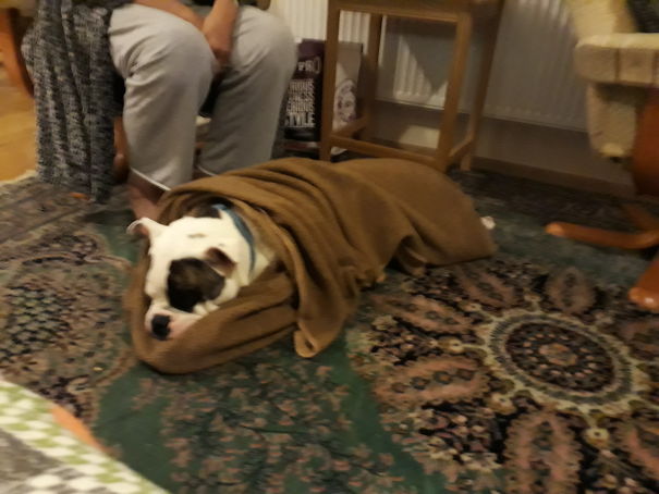 Ludo Wouldn't Sleep On Holiday Unless He Was Wrapped Like A Sausage Roll
