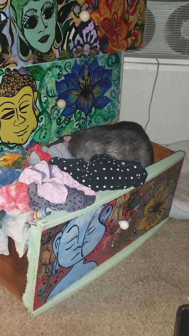 Just Unfolding All Of These Clothes To Make A More Comfortable Bed, You Don't Mind Right?