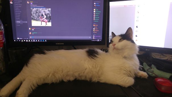 Computers Are Overrated...