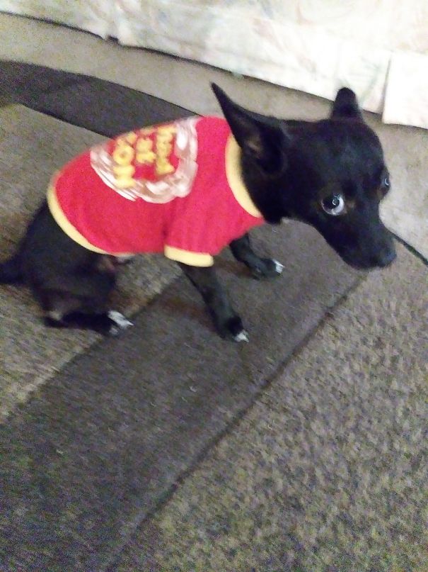 Really I Mean Really, You Want Me To Wear This?