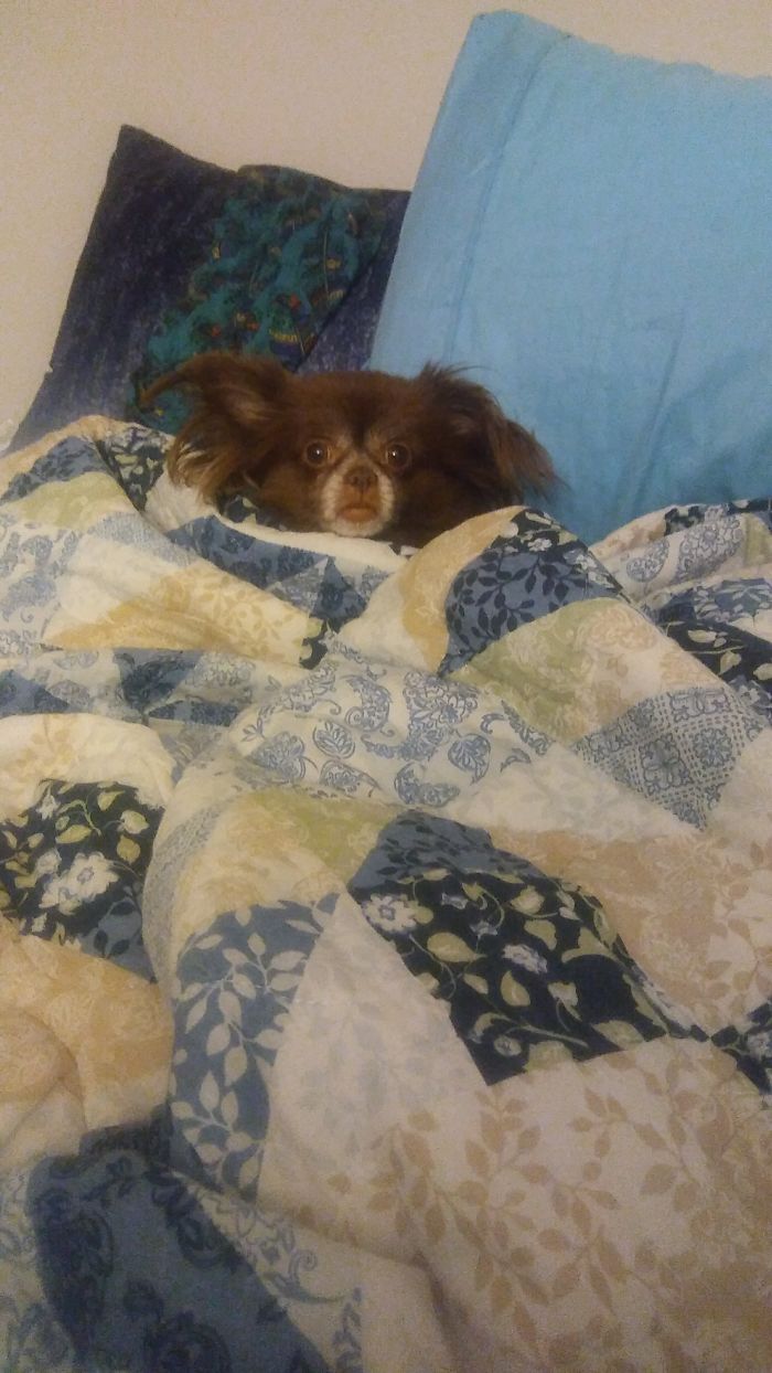 Juju Wondering Why I Wont Turn Off The Light.