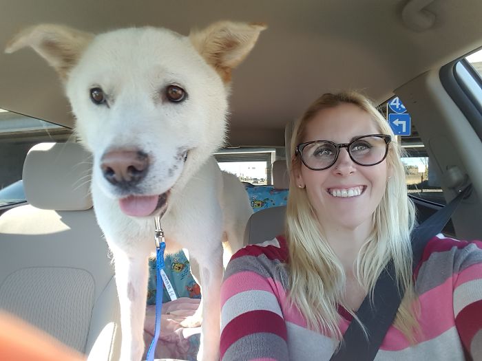 Danny Is From South Korea. He Was Minutes Away From Being Killed At A Dogmeat Restaurant After Living In A Terrible Place For 2 Years. I Was Lucky Enough To Be His Forever Human.