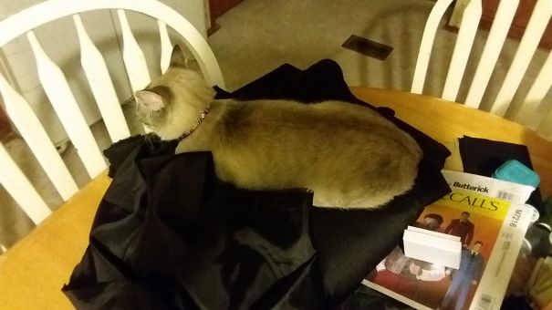 Helping Me Sew A Lovely Suit Coat.
