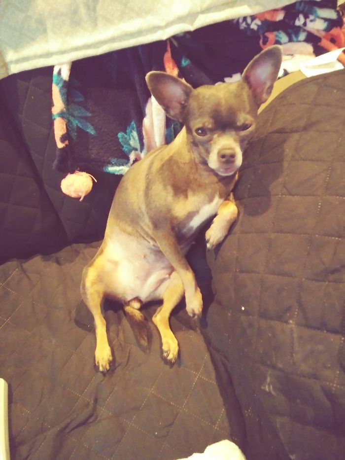 Taking Up The Only Recliner!