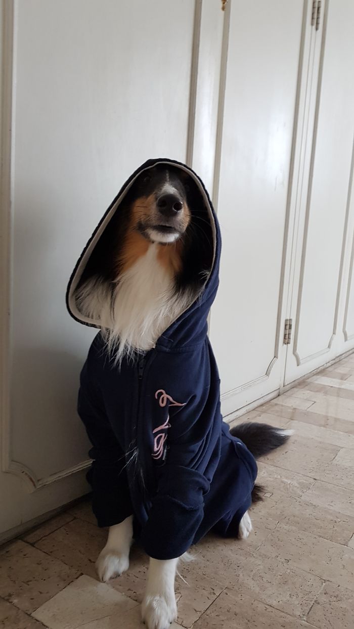 He Loves My Sister's Hoods