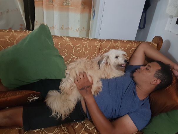 Wasn't Paying Her Attention So She Climbed Onto Me.