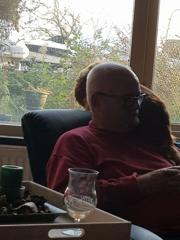 My Dads Dog Loves To Look Outside And Doesn't Care Who Is In Her Way