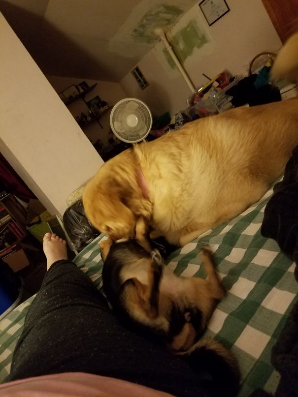 Never Allowed To Sleep With These Two. Both Decided To Play