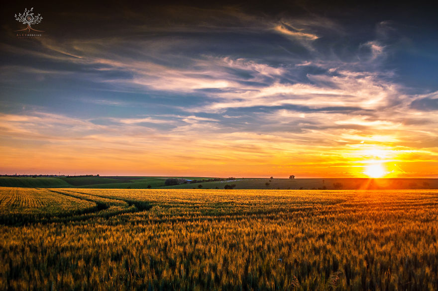 I Photographed The Half-Mythical Land Of Transylvania.