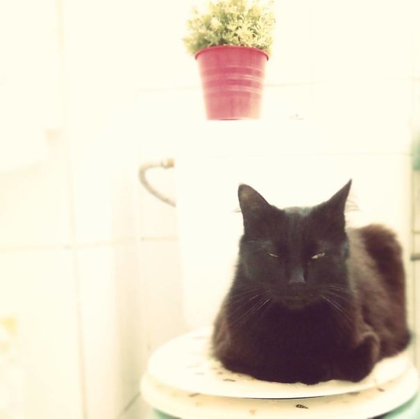 You. Can. Piss. In. The. Tub. Thanks. Batman.