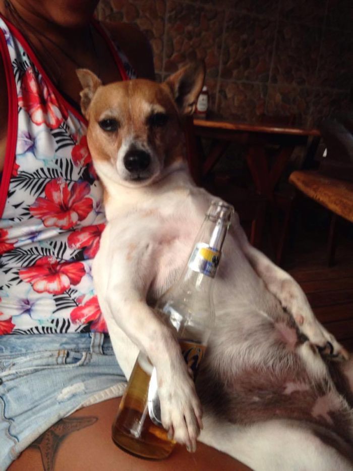 "Drinking Again, Thinking Of When You Loved Me"