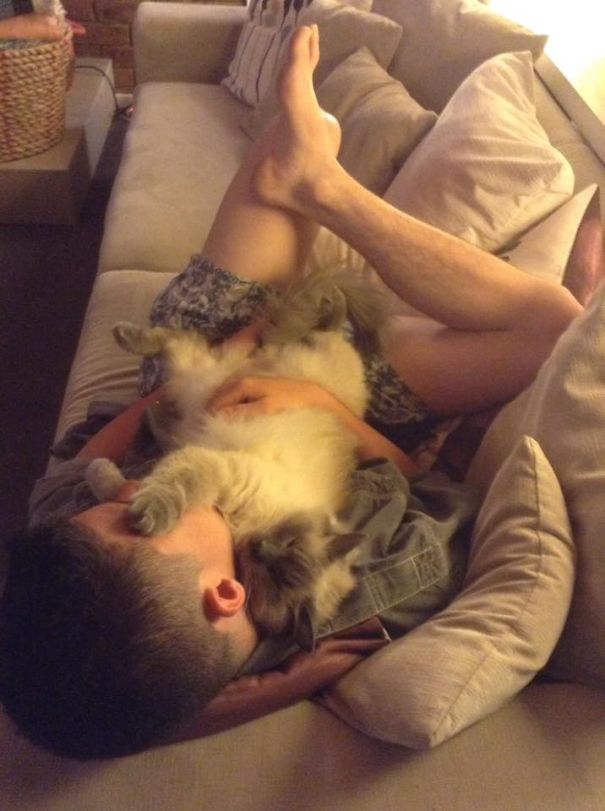 Apparently My Son Was Watching Tv And Not Paying Attention To Mushu.