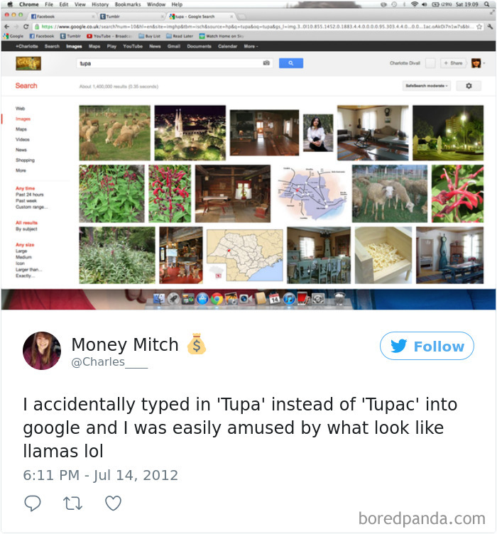 Funny-Accidental-Google-Searches