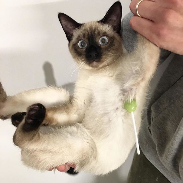 Son, Where Is Your Lollipop?