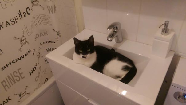 Sorry To Disturb, Can I Wash My Hands...please?