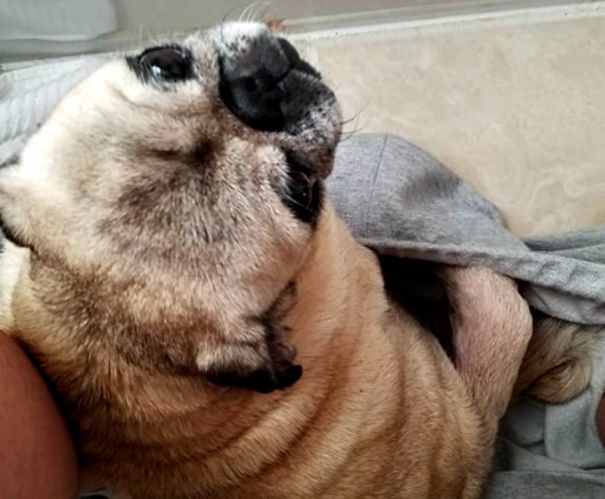 I Wasn't Allowed To Leave The Bathroom For Almost 40 Mins