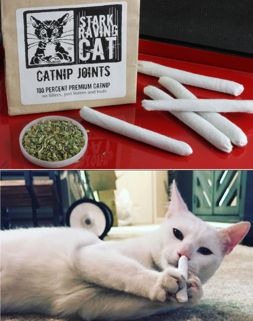 27 Gift Ideas That Look Like One Thing But Are Actually Something Else 27 Gift Ideas That Look Like One Thing But Are Actually Something Else