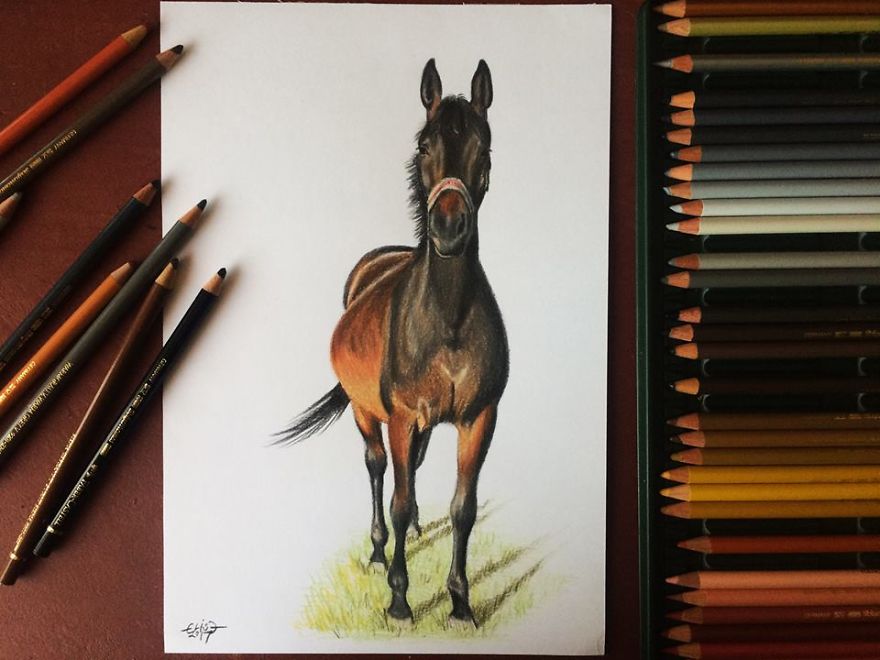 Estonian Artist Captures Personalities Of Horses With Her Realistic Hand-Drawn Art