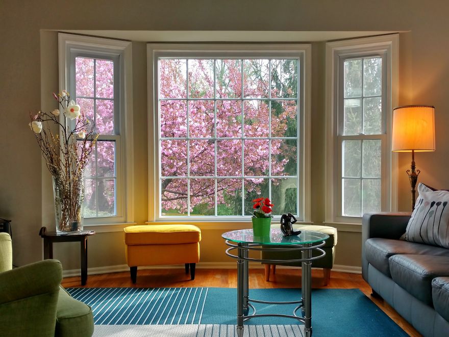 The Four Seasons Through My Living Room The Four Seasons Through My Living Room