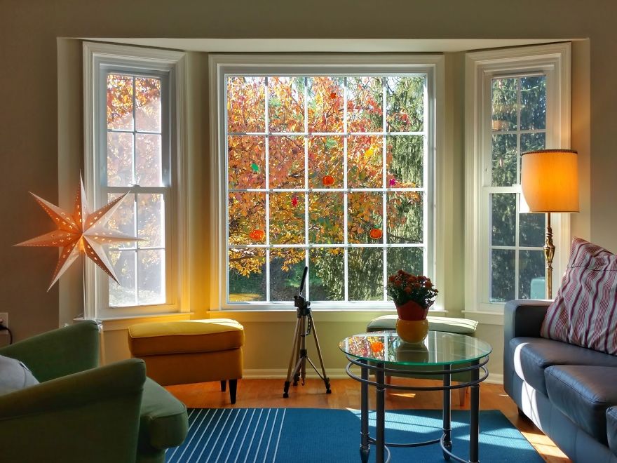 The Four Seasons Through My Living Room The Four Seasons Through My Living Room