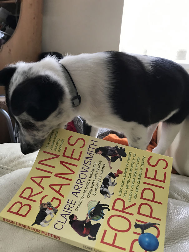 Yeah, Thanks - But I'll Do It My Way!