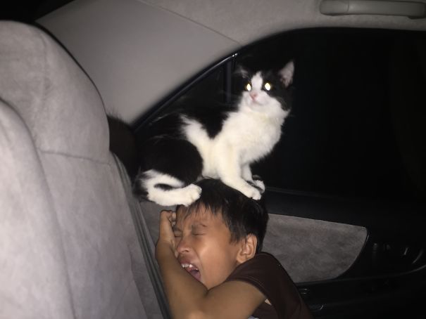 Four Wheels Doesn’t Scare Me, Hoooman