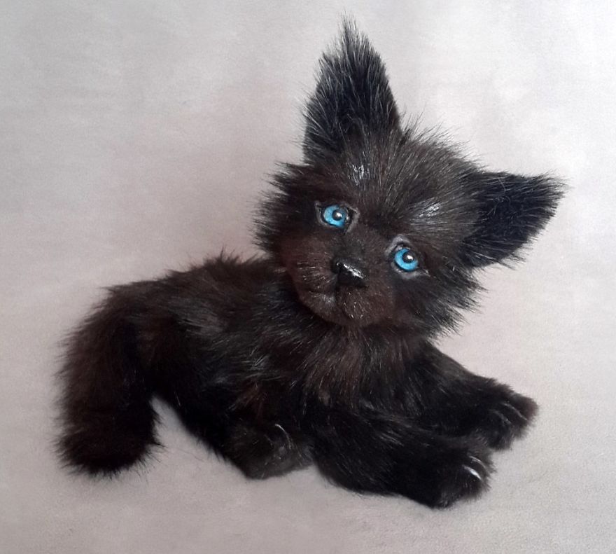 Amazing Warming Tenderness: 20 Furry Puppies, Kittens And Foxcubs Straight From Siberia