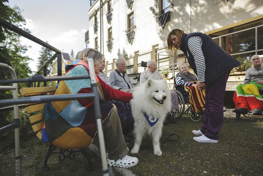 We Followed Local Canistherapy Center Team To Senior Foster Homes And Children Hospitals For Two Years To Document People Emotions