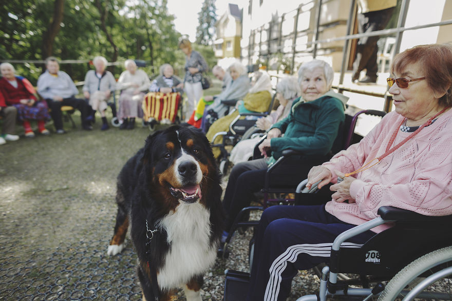 We Followed Local Canistherapy Center Team To Senior Foster Homes And Children Hospitals For Two Years To Document People Emotions We Followed Local Canistherapy Center Team To Senior Foster Homes And Children Hospitals For Two Years To Document People Emotions