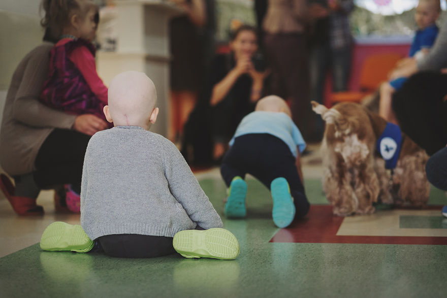We Followed Local Canistherapy Center Team To Senior Foster Homes And Children Hospitals For Two Years To Document People Emotions We Followed Local Canistherapy Center Team To Senior Foster Homes And Children Hospitals For Two Years To Document People Emotions