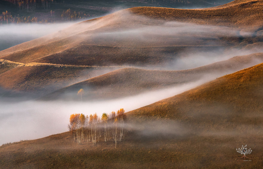 I Photographed The Half-Mythical Land Of Transylvania.