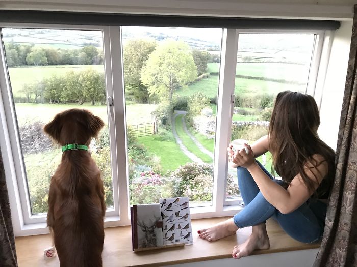 Just Checking Out The View