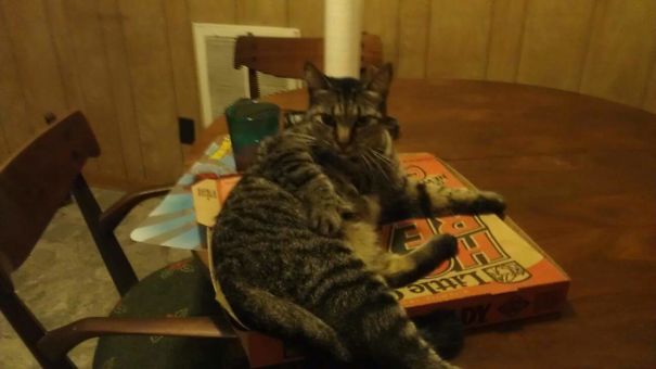 Oh Were You Still Gonna Eat This?