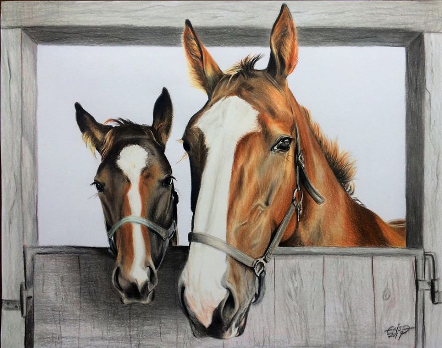 Estonian Artist Captures Personalities Of Horses With Her Realistic Hand-Drawn Art Estonian Artist Captures Personalities Of Horses With Her Realistic Hand-Drawn Art