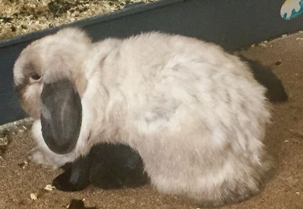 The Black Thing Is His Brother’s Head!