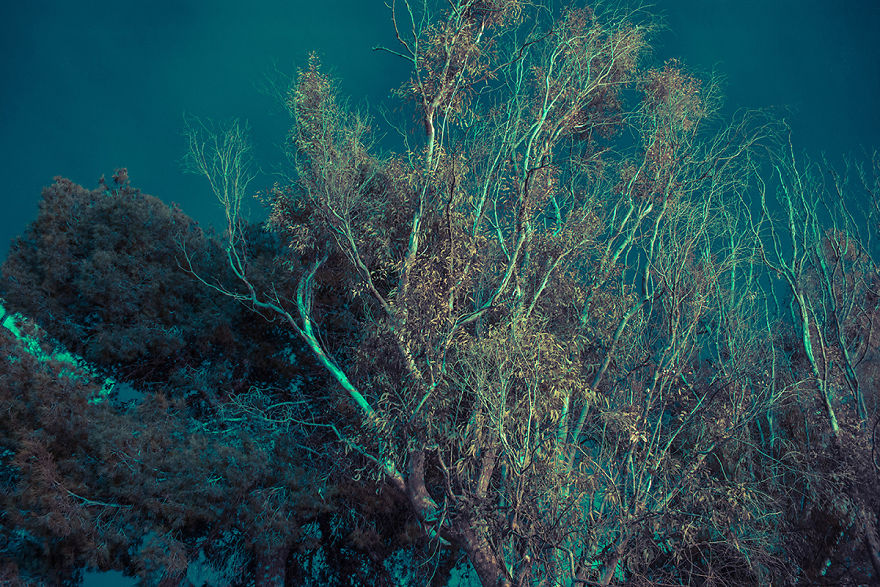 Burn In Blue: My Landscape Photo Series After Late Lab Work Burn In Blue: My Landscape Photo Series After Late Lab Work