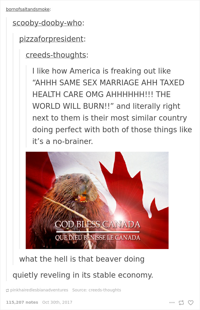 Funny-America-Canada-Differences-Mocking-Usa