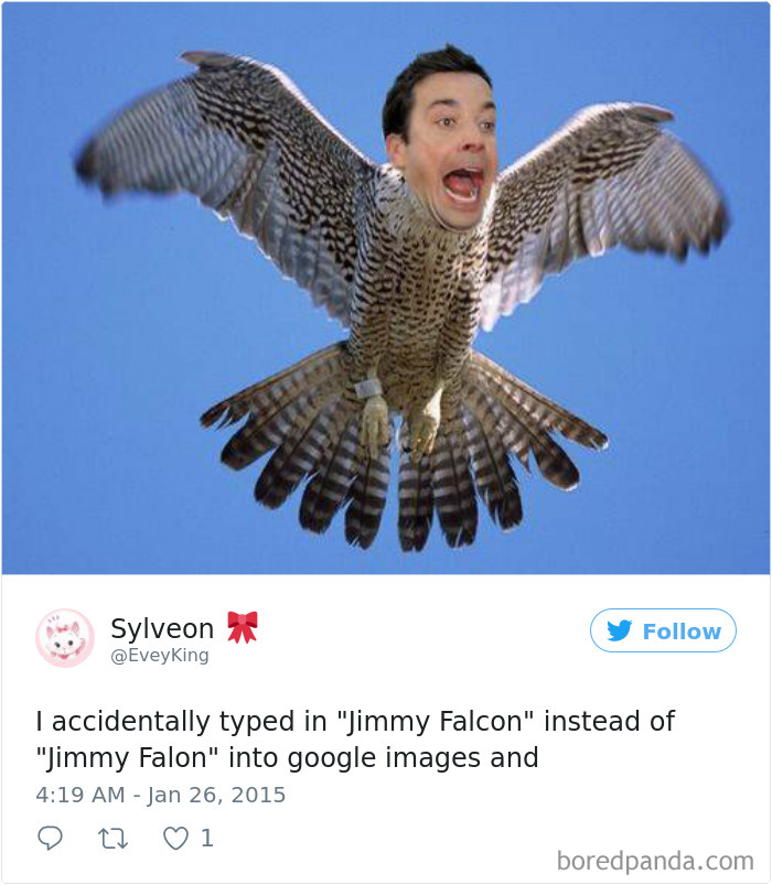 Funny-Accidental-Google-Searches